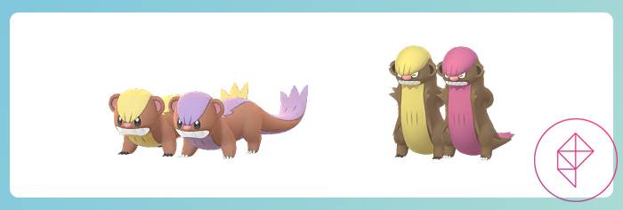 Can Yungoos be shiny in Pokémon Go?
