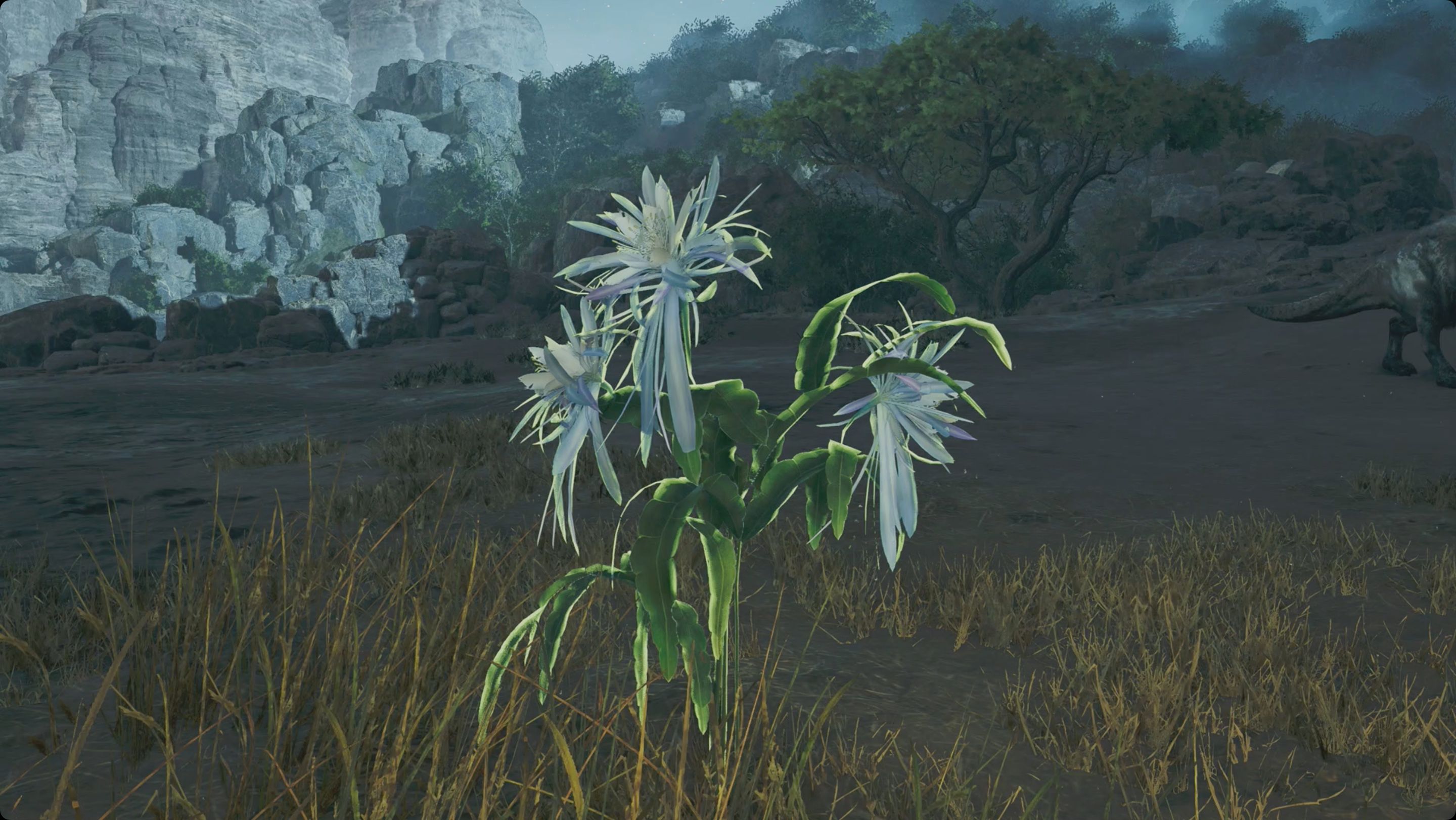 Nightbloom Flower Mhwilds