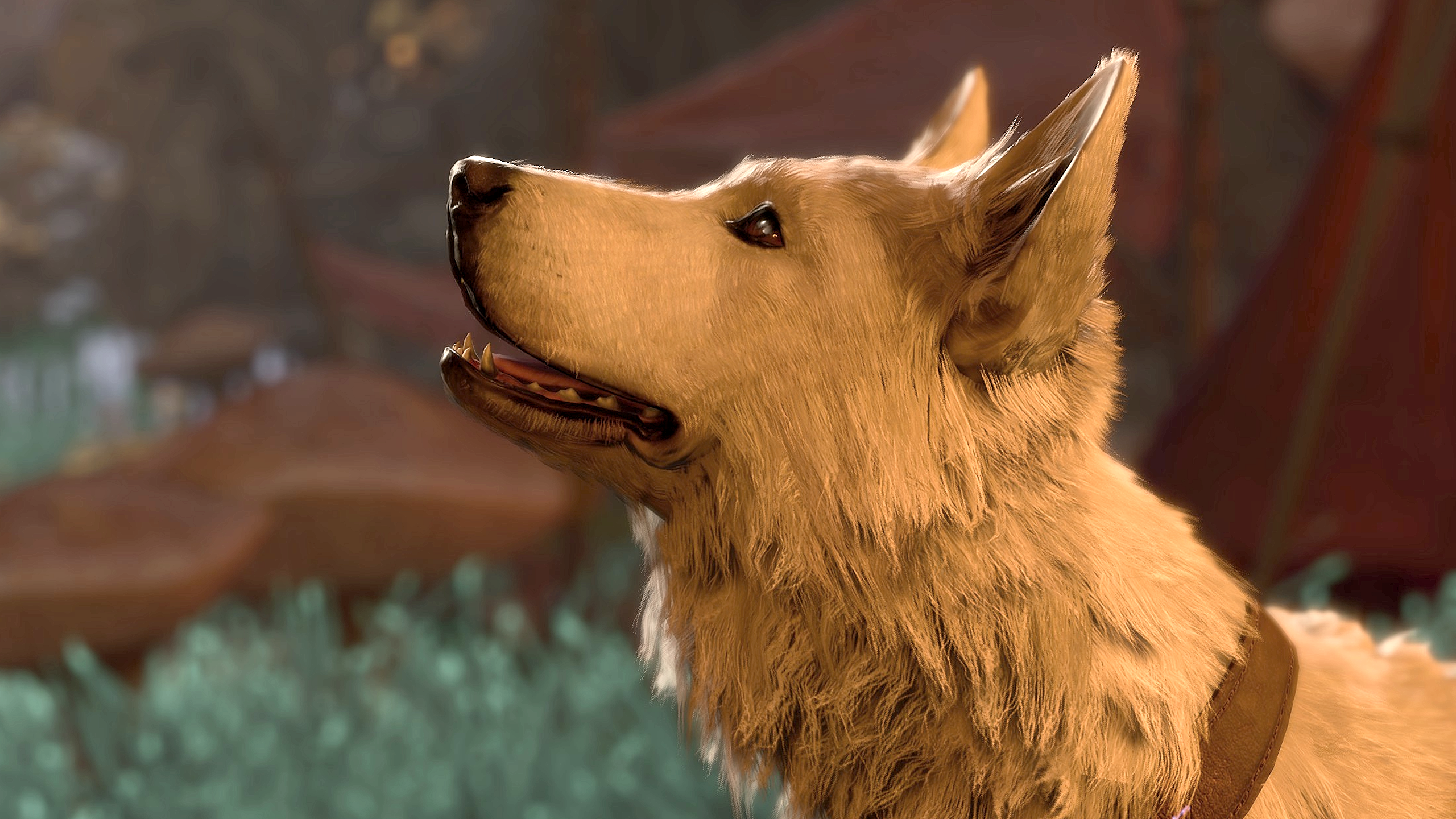 How to Take a Dog Out in Last Shelter Survival: Expert Tips