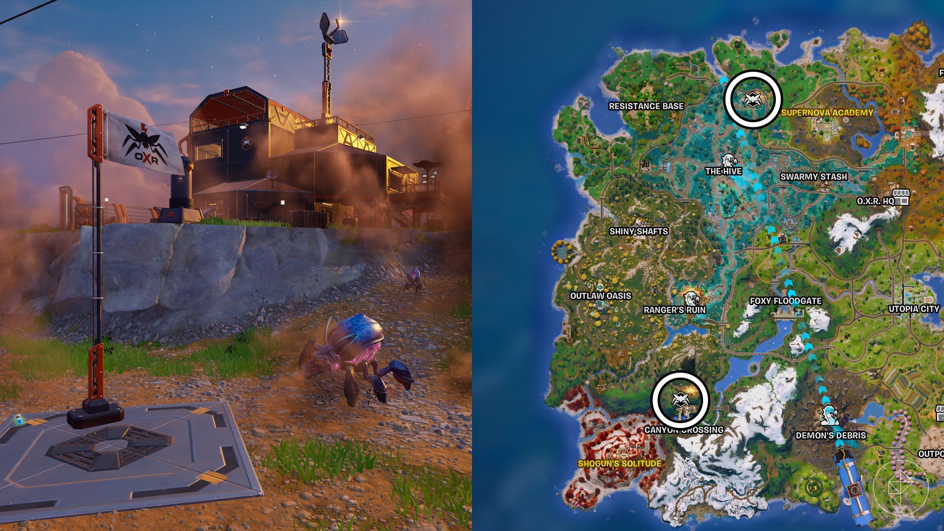 A flag next to a bug in Fortnite.