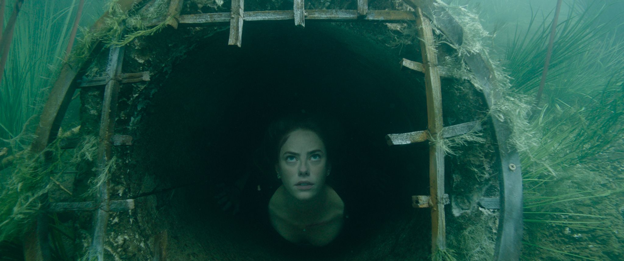 Crawl review: best alligators-attack-in-a-hurricane disaster movie ever