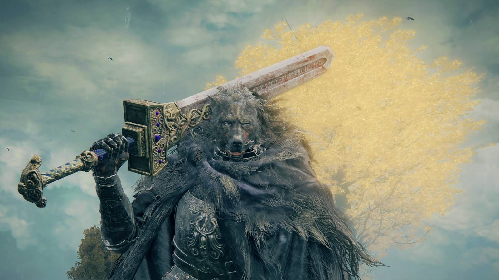 www.polygon.com