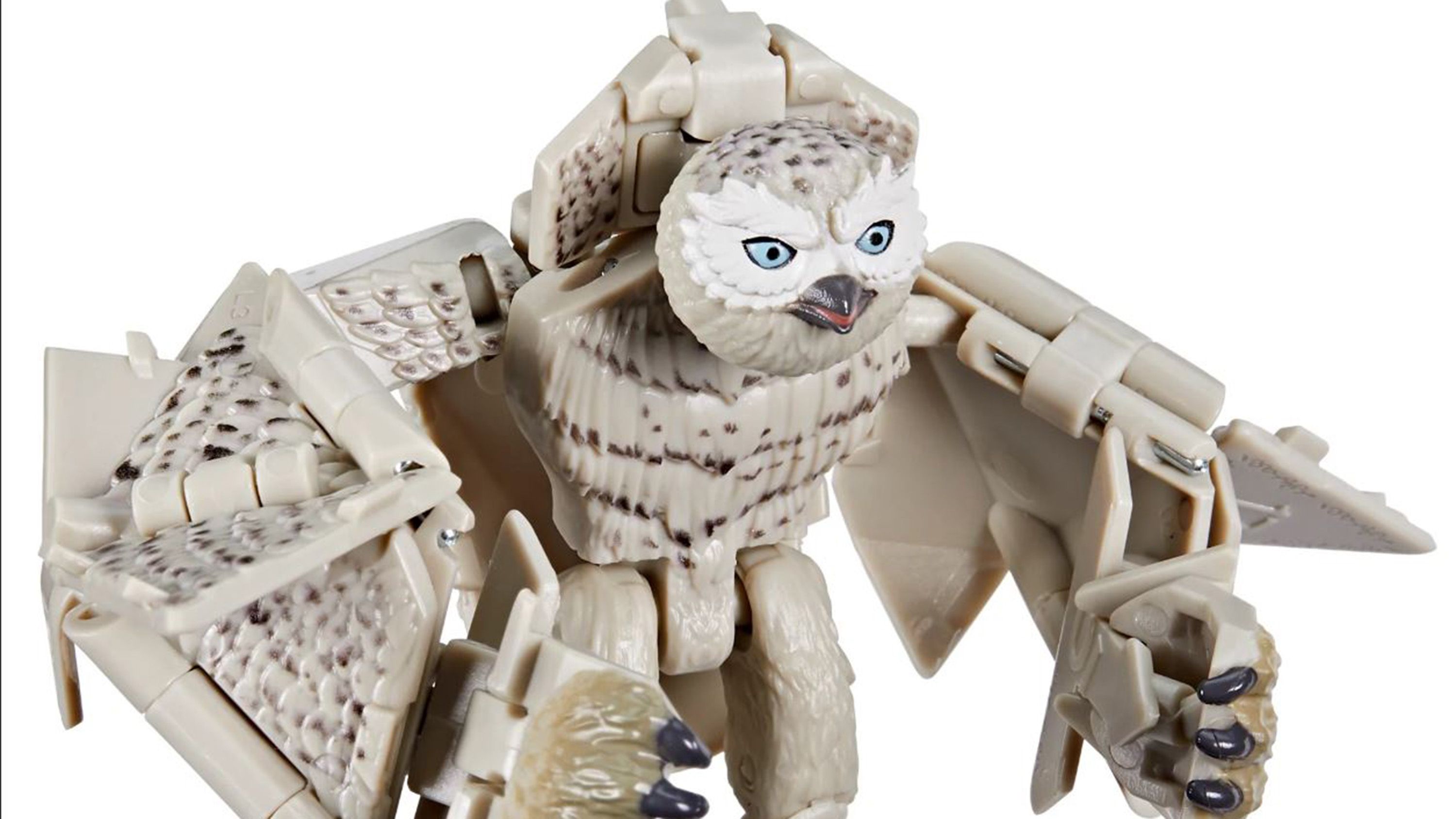 www.polygon.com